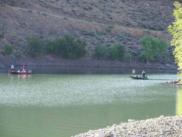2011 HSN Photo