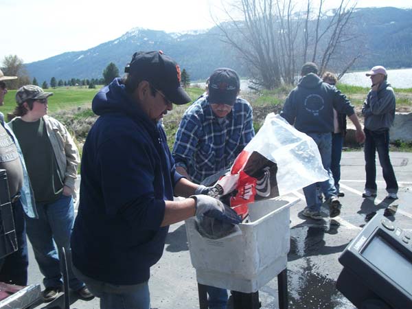 2012 Cascade Photo